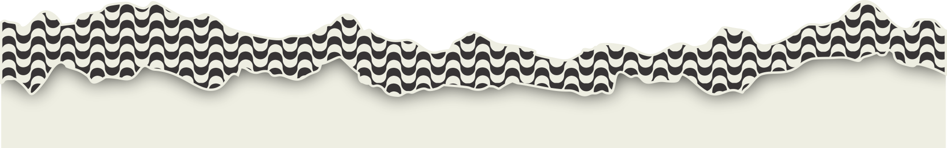 divisa5